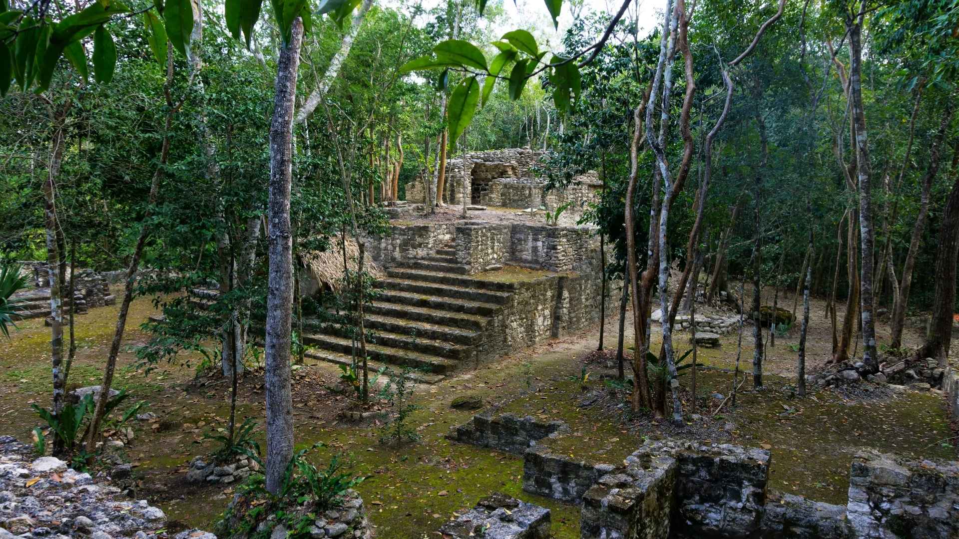ancient ruins in jungles of mexico